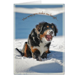 Laughing Berner