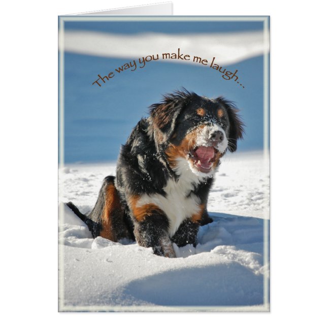 Laughing Berner (Front)