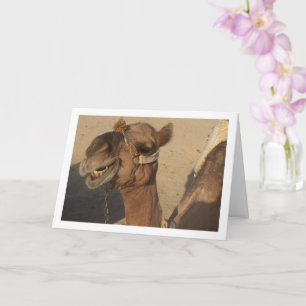 Laughing Camel Card