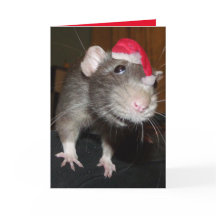 Laughing Christmas Rat Greeting Card