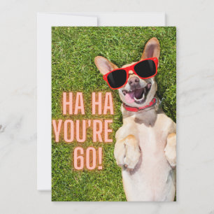 Laughing Dog 60th Birthday Postcard