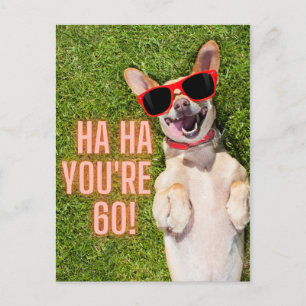 Laughing Dog 60th Birthday Postcard
