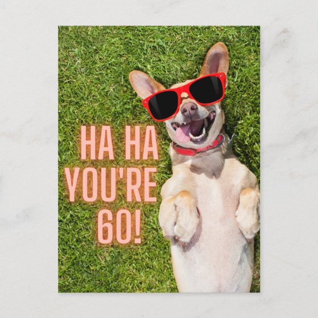 Laughing Dog 60th Birthday  Postcard (Front)