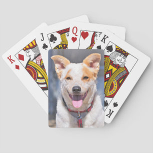 Laughing Dog Playing Cards