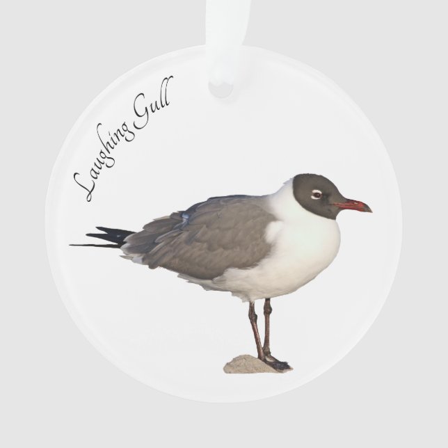 Laughing Gull Ornament (Front)