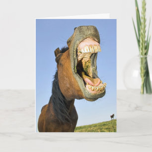 Laughing Horse Birthday Card