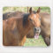 Laughing Horse