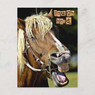 Laughing Horse Post Card