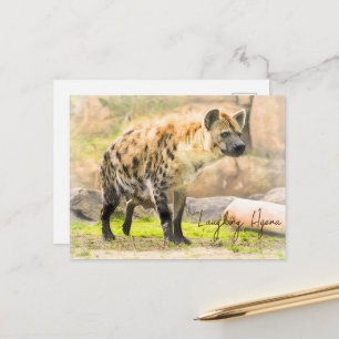 Laughing Hyena ポストカード Postcard