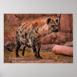 Laughing Hyena:Archive Heavy Weight Paper Poster