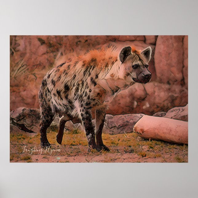 Laughing Hyena：Archive Heavy Weight Paper Poster (Front)