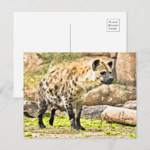 Laughing Hyena Postcard