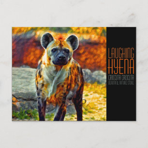 Laughing hyena [Postcard] Postcard
