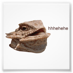 Laughing Iguana HeHe Lizard Photo Print