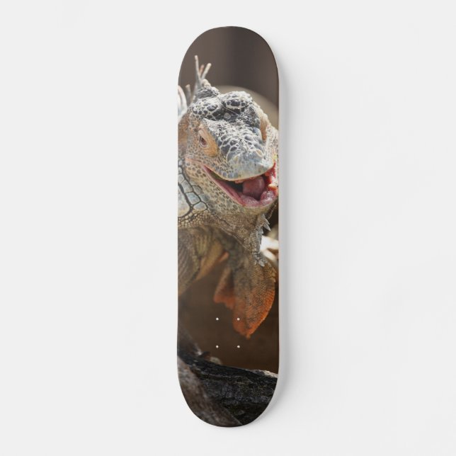 Laughing Iguana Photography Skateboard (Front)