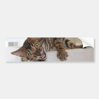 LAUGHING KITTEN BUMPER STICKER