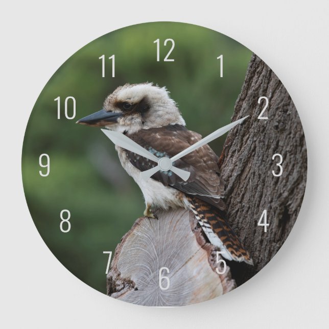 Laughing Kookaburra Bird Animal Tree Large Clock (Front)