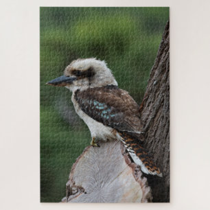 Laughing Kookaburra Bird in a Tree, 1014 pieces Jigsaw Puzzle