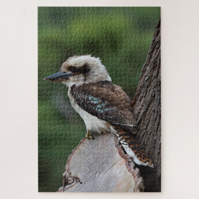 Laughing Kookaburra Bird in a Tree, 1014 pieces Jigsaw Puzzle (Vertical)