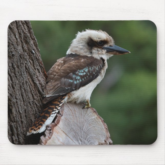 Laughing Kookaburra Mouse Pad (Front)