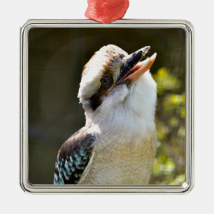 Laughing Kookaburra perched on branch Postcard Squ Metal Ornament