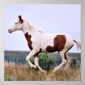 Laughing Maiden Poster