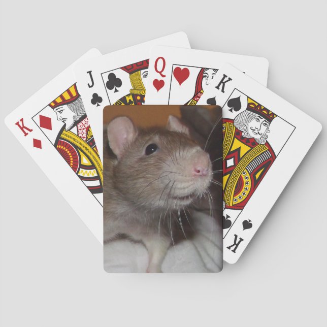 laughing rat playing cards (Back)