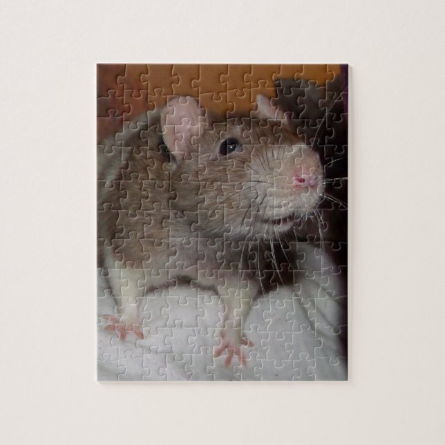laughing rat puzzle with tin (Vertical)