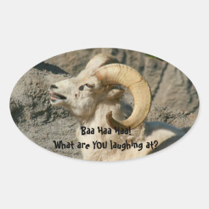 Laughing Rocky Mountain Bighorn Sheep Oval Sticker