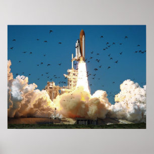 Launch of Space Shuttle Challenger (STS-51L) Poster