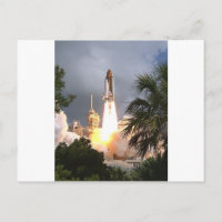 launch with palms