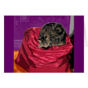 Laundry Bag Indigo CB