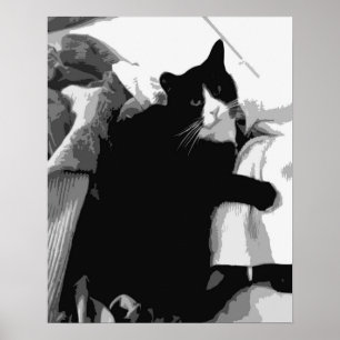 Laundry Cat Poster