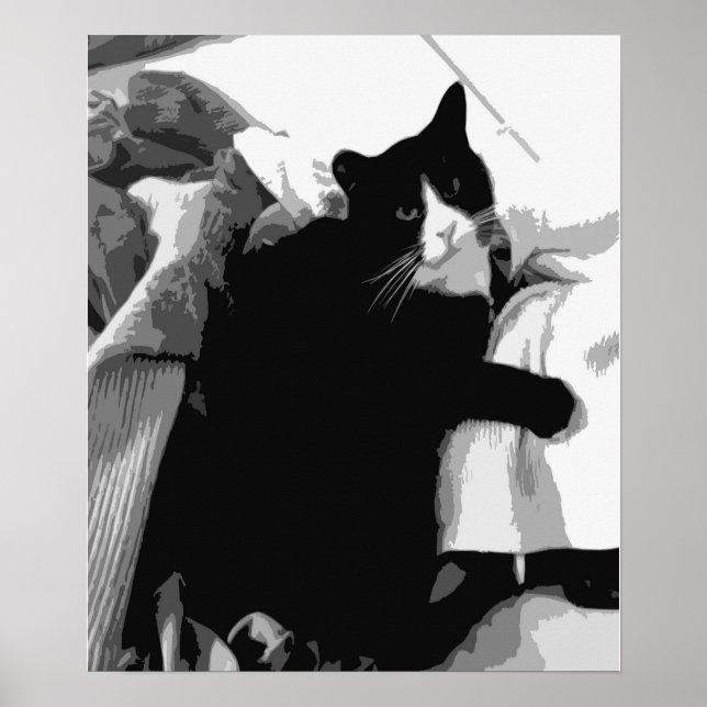 Laundry Cat  Poster (Front)