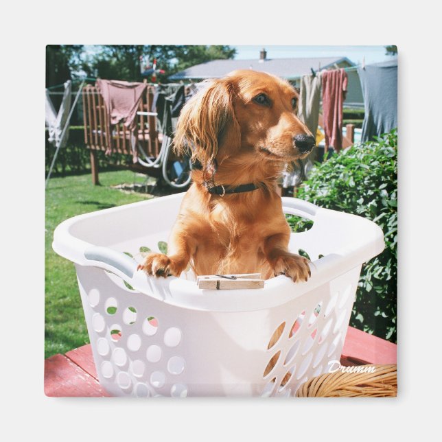 Laundry Day Magnet (Front)