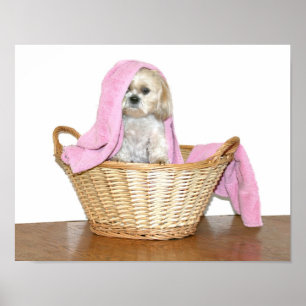 Laundry helper poster