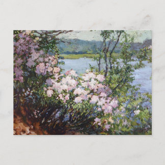 Laurel by Matilda Browne Postcard