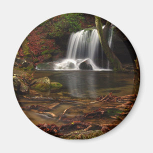 Laurel Falls Magnet