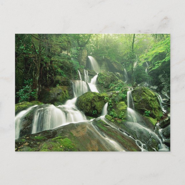 Laurel Falls, Tennessee Postcard (Front)