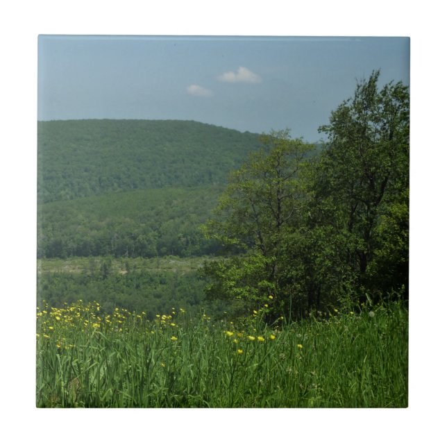 Laurel Highlands Pennsylvania Summer Photography Ceramic Tile (Front)