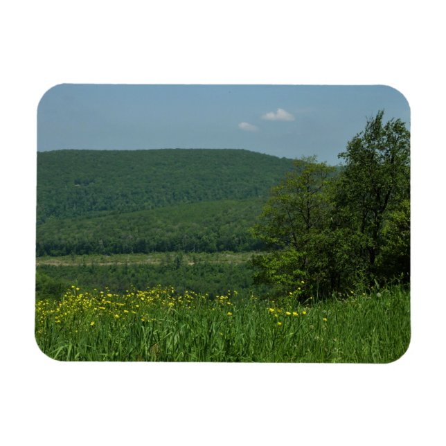 Laurel Highlands Pennsylvania Summer Photography Magnet (Horizontal)