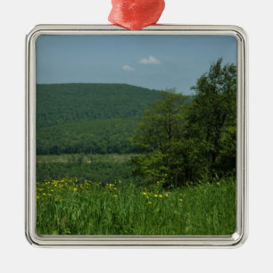Laurel Highlands Pennsylvania Summer Photography Metal Ornament