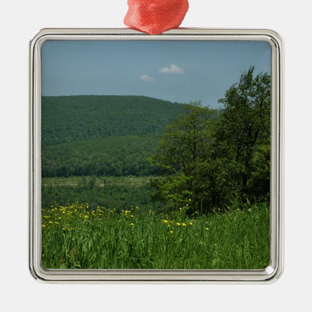 Laurel Highlands Pennsylvania Summer Photography Metal Ornament (Front)