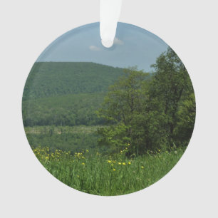 Laurel Highlands Pennsylvania Summer Photography Ornament