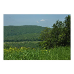Laurel Highlands Pennsylvania Summer Photography Photo Print