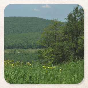 Laurel Highlands Pennsylvania Summer Photography Square Paper Coaster