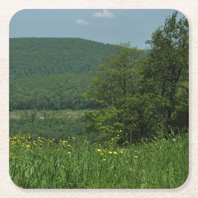Laurel Highlands Pennsylvania Summer Photography Square Paper Coaster (Front)