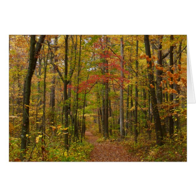 Laurel Hill Trail in Fall (Front Horizontal)