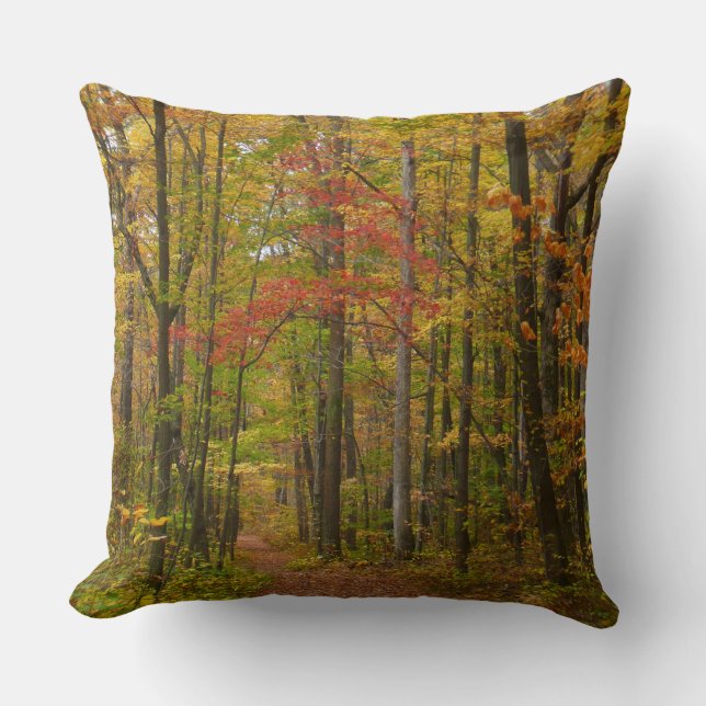 Laurel Hill Trail in Fall Cushion (Front)