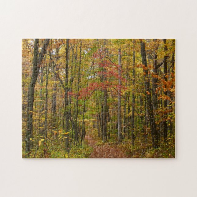 Laurel Hill Trail in Fall Jigsaw Puzzle (Horizontal)
